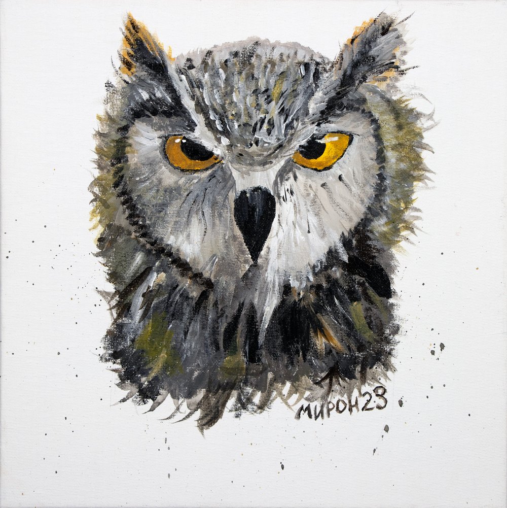 Owl