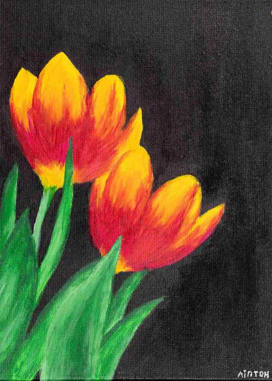 Tulips